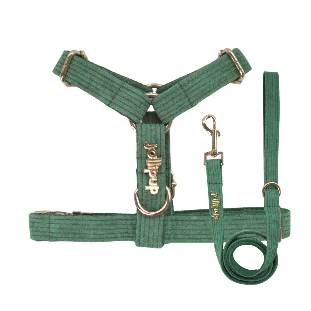 Corduroy (Forest Green) Leash