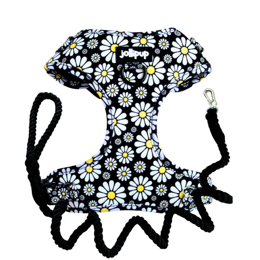 Cutesy Daisy Harness & Braided Rope Leash Bundle