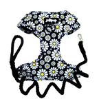 Cutesy Daisy Harness & Braided Rope Leash Bundle