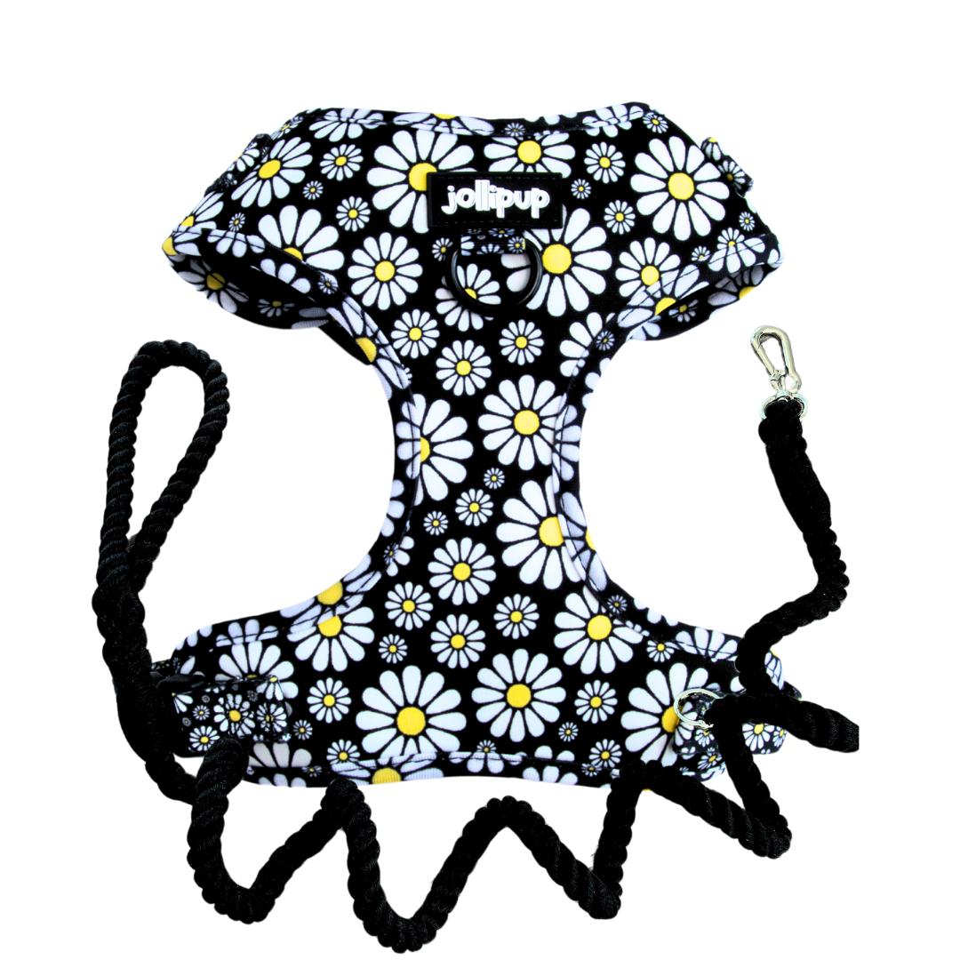 Cutesy Daisy Harness & Braided Rope Leash Bundle