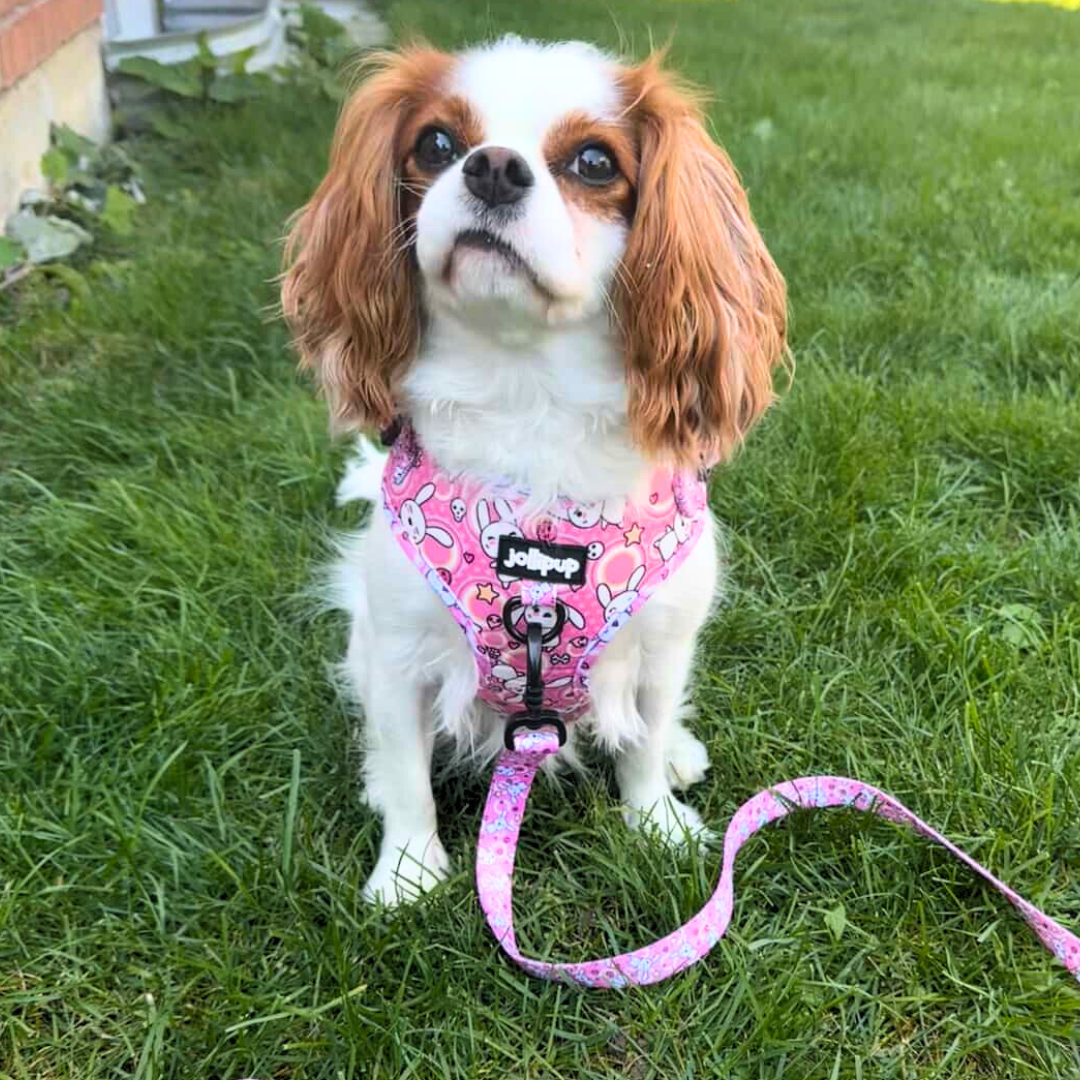Kawaii Doodles Neoprene Fabric Harness