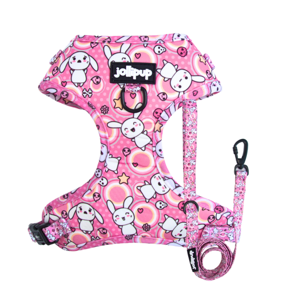 Conjunto de arnés y correa con dibujos de Kawaii Doodles