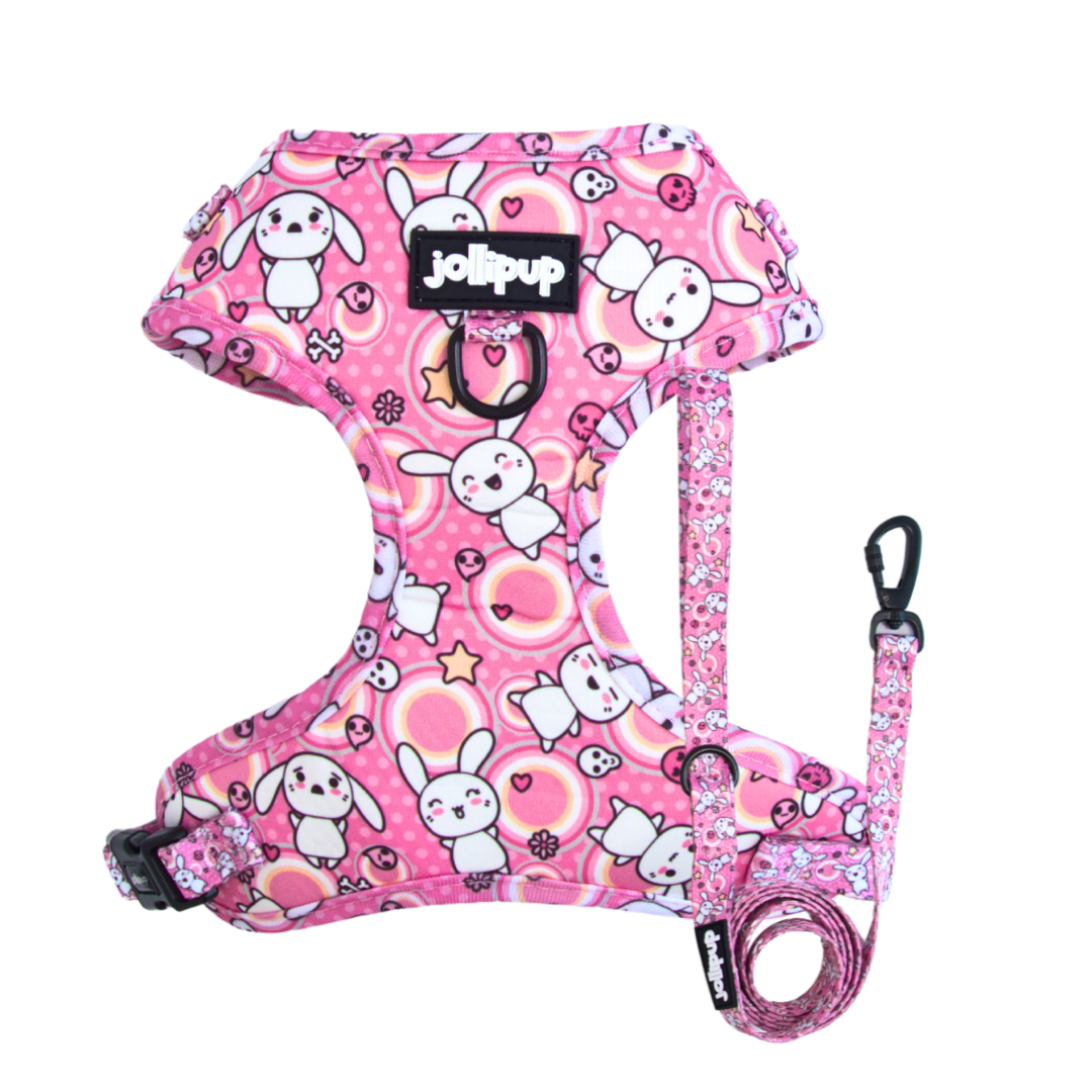 Conjunto de arnés y correa con dibujos de Kawaii Doodles