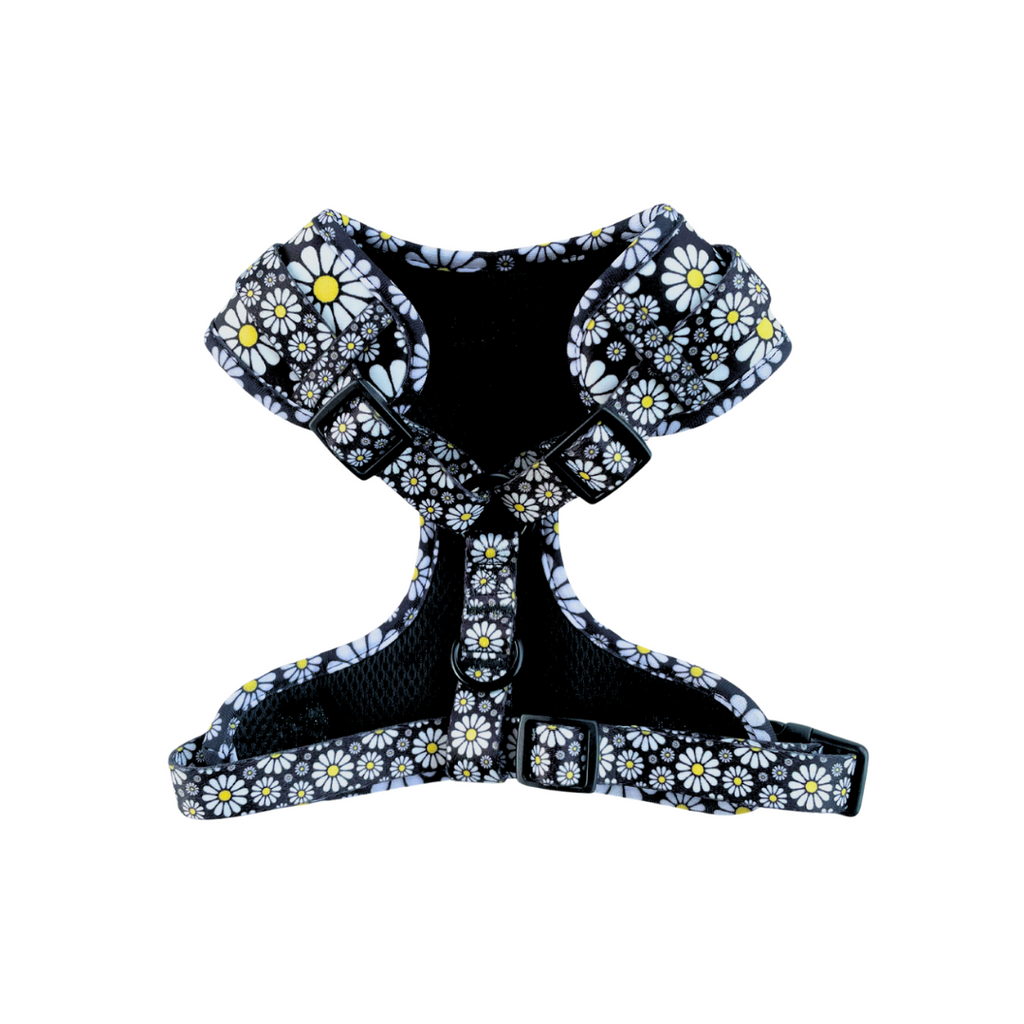 Cutesy Daisy Harness & Braided Rope Leash Bundle