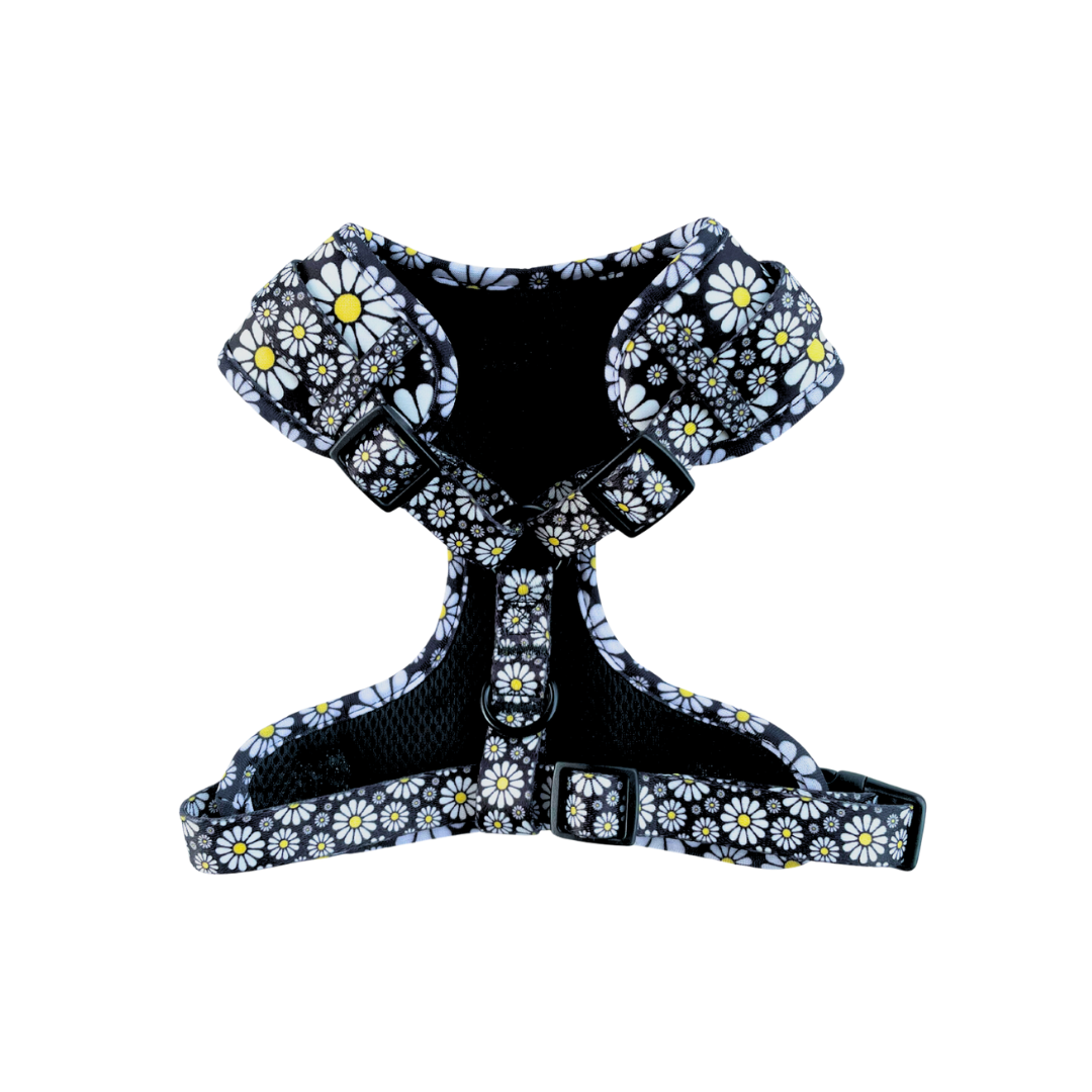 Cutesy Daisy Harness & Braided Rope Leash Bundle