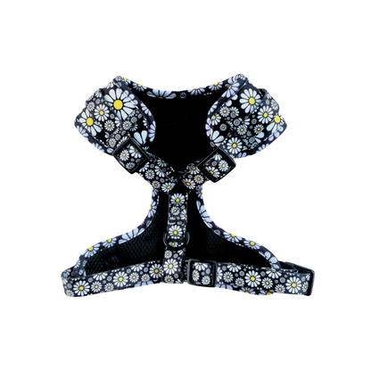 Cutesy Daisy Harness & Braided Rope Leash Bundle