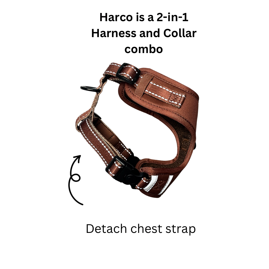 Harco Neoprene  2-in-1 Harness & Collar