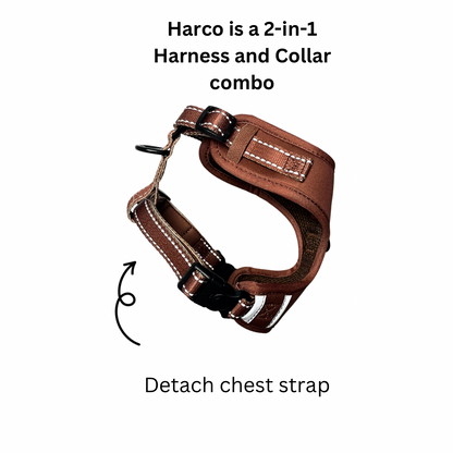 Harco Neoprene  2-in-1 Harness & Collar