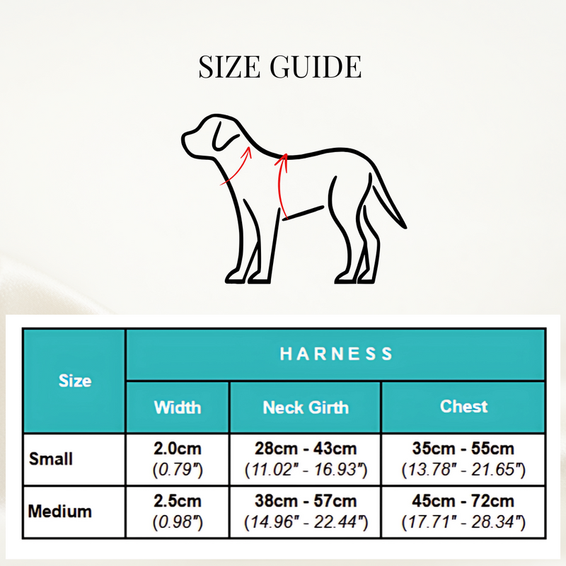 Size chart for Corduroy (Red) Harness