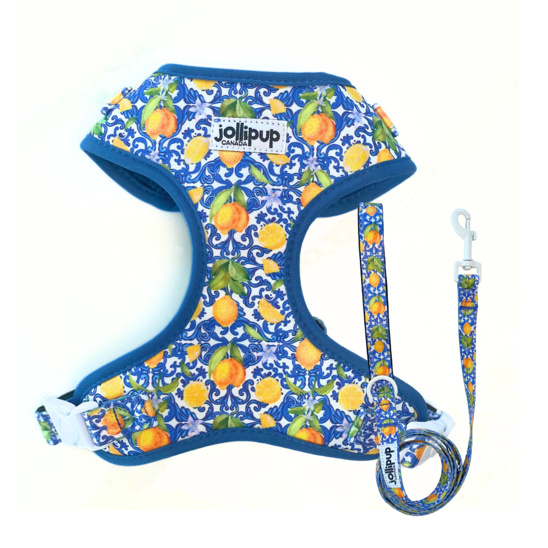 Laisse en polyester à motifs kawaii