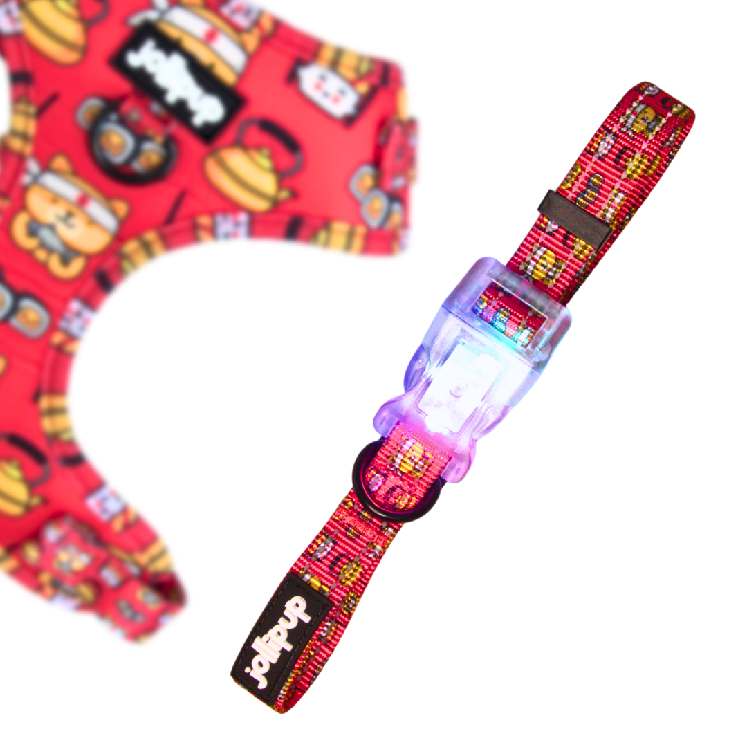 Sushi Chef Polyester LED Light Collar