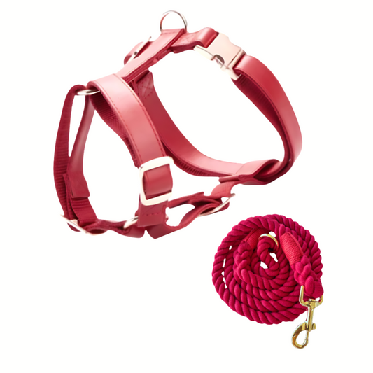 Vegan Leather Harness & Braided Rope Leash Bundle