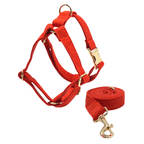 Corduroy (Red) - Kostbar  Pet Club
