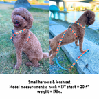 Stylish abstract cotton fabric leash, durable and soft for pet walks - Kostbar Pet Club
