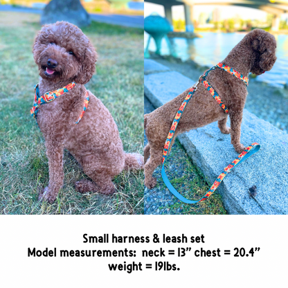 Stylish abstract cotton fabric leash, durable and soft for pet walks - Kostbar Pet Club
