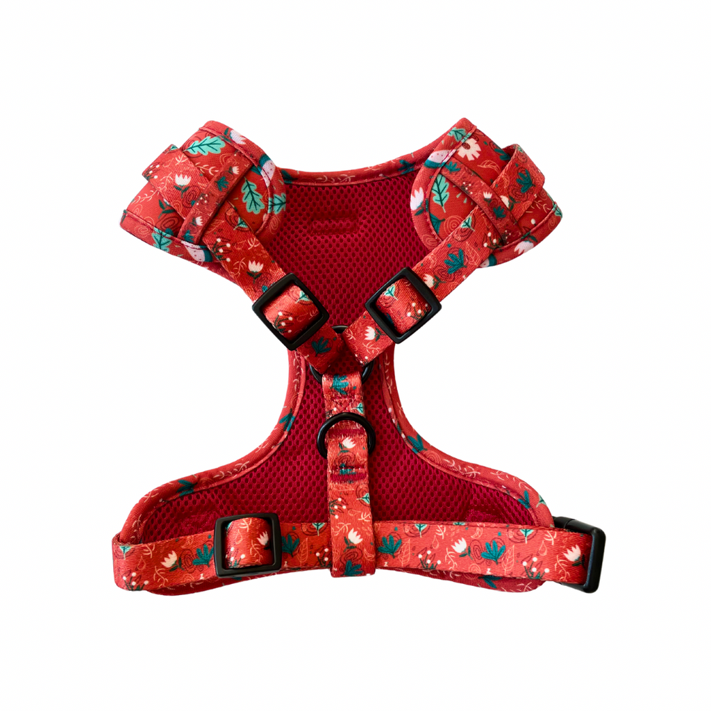 Red Charm Harness & Braided Rope Leash Bundle