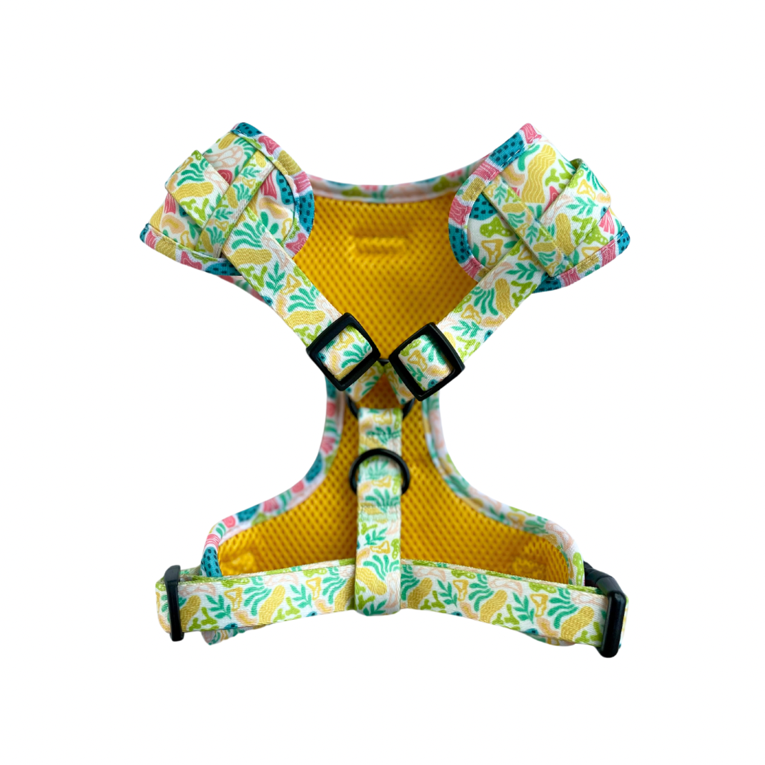 Bubble Gum Harness & Braided Rope Leash Bundle