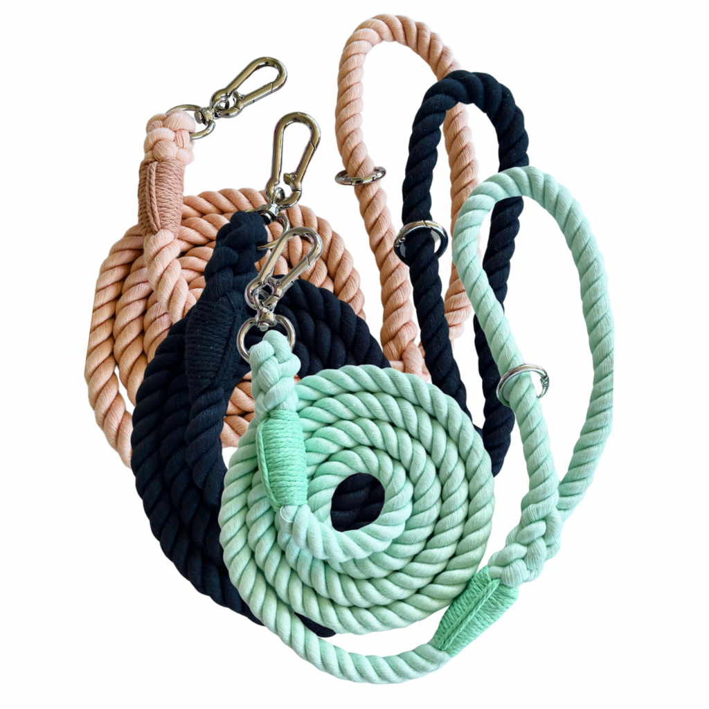 Cutesy Daisy Harness & Braided Rope Leash Bundle