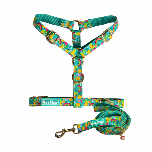 Pineapple Bliss Harness & Leash Set