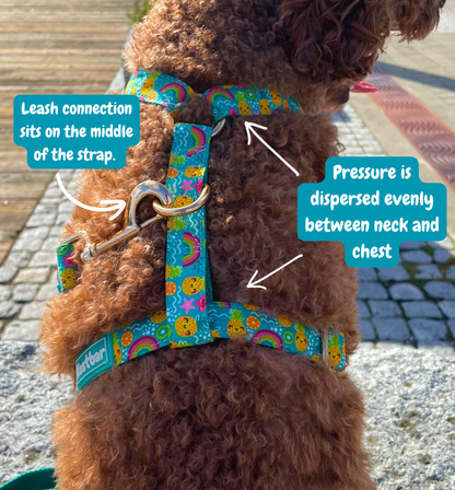 Pineapple Bliss Harness & Leash Set