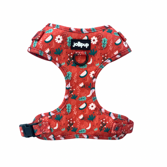 Harnais en tissu néoprène Red Charm