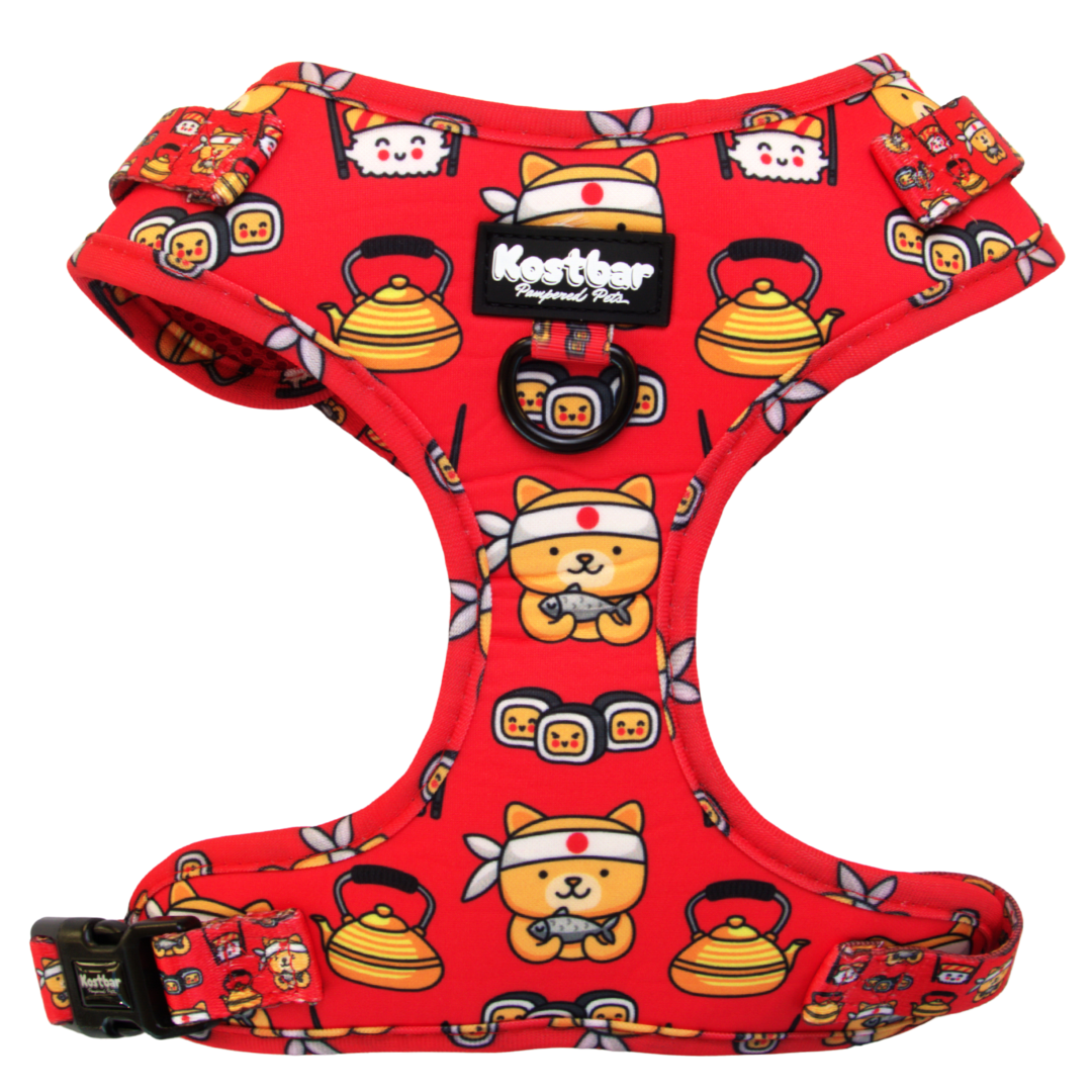 Sushi Chef harness & leash set, fun and stylish for pets - Kostbar Pet Club
