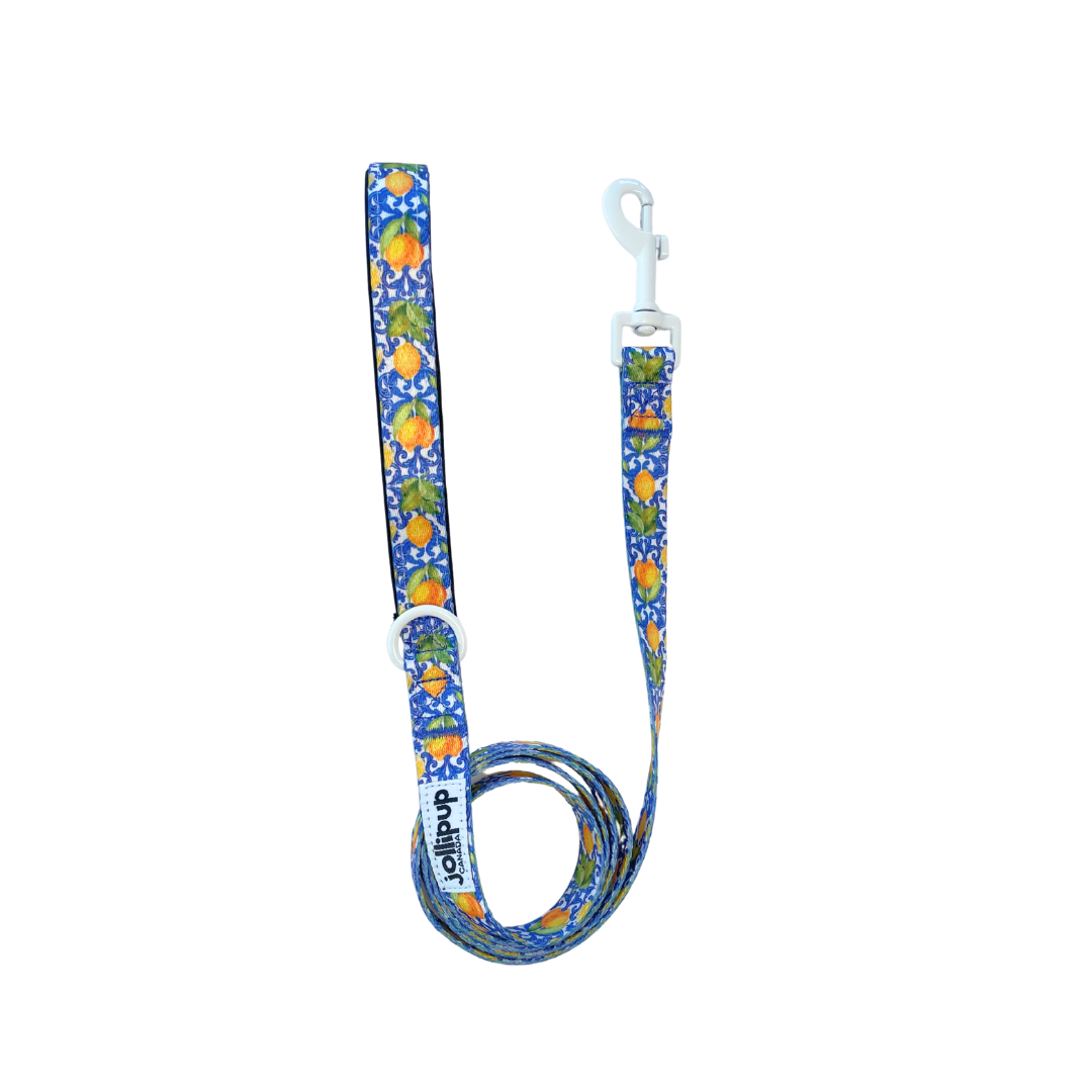 Laisse en polyester à motifs kawaii