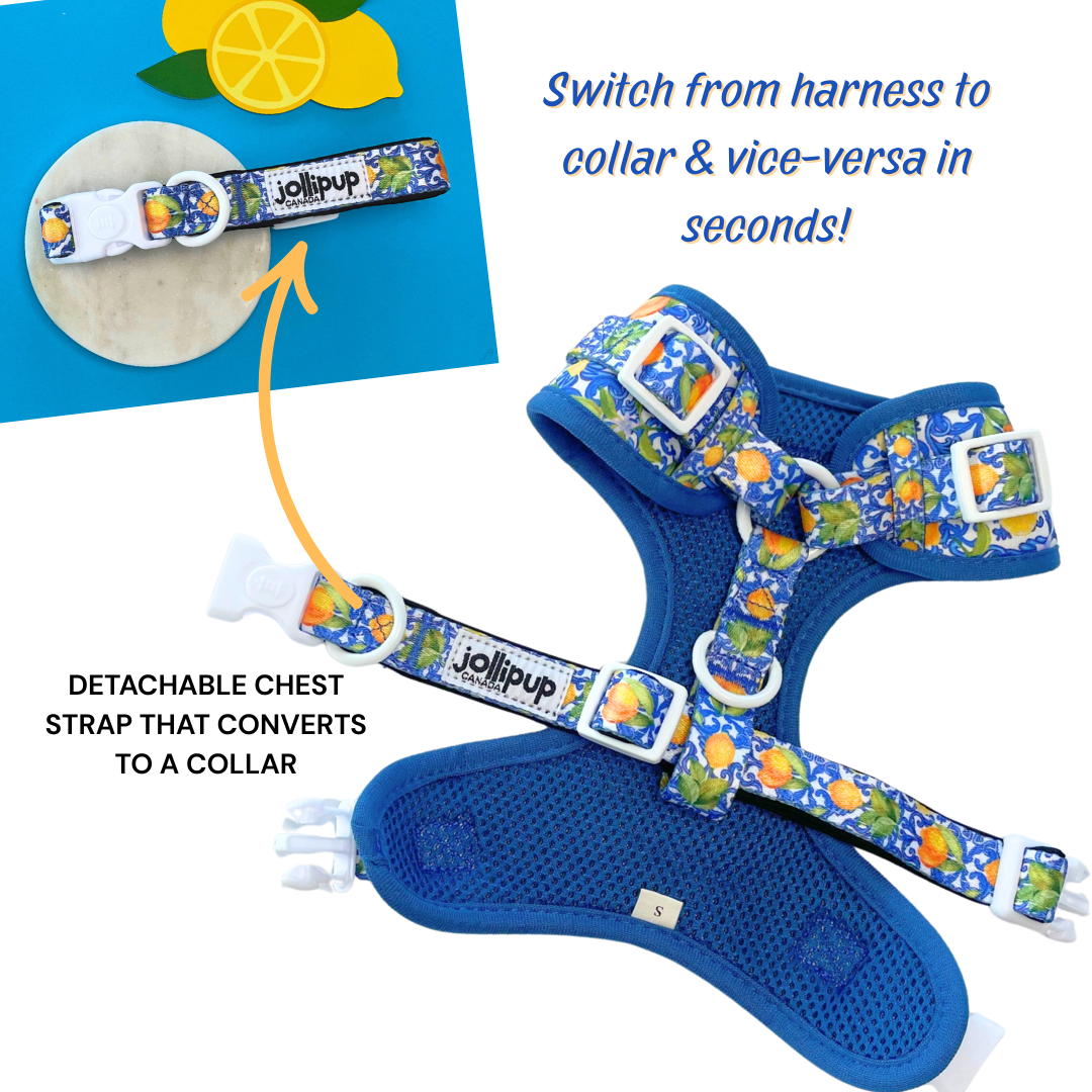 Laisse en polyester à motifs kawaii