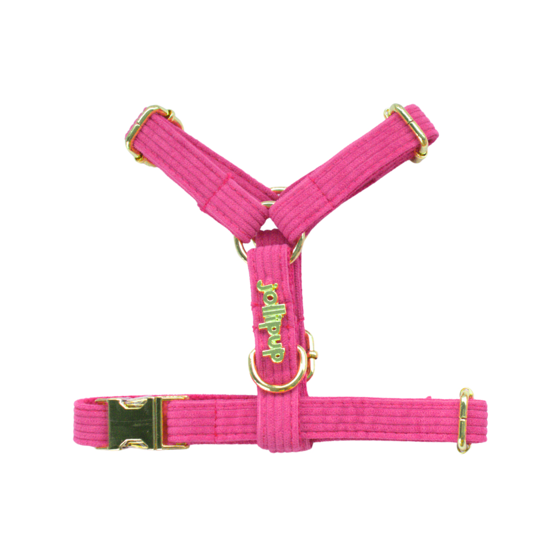Corduroy (Pink) Harness