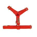 Corduroy Harness & Leash Bundle (Red)