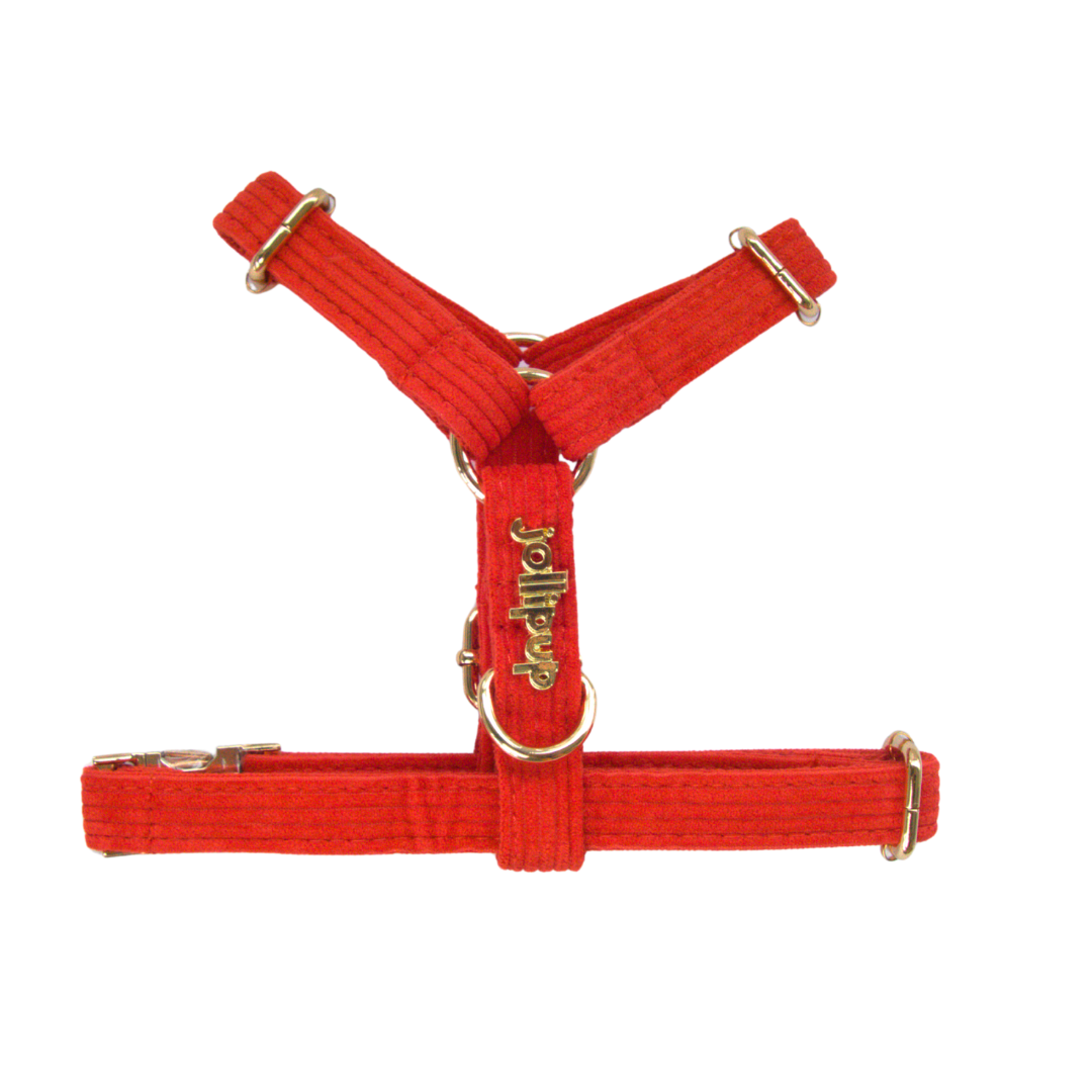 Corduroy (Red) Harness