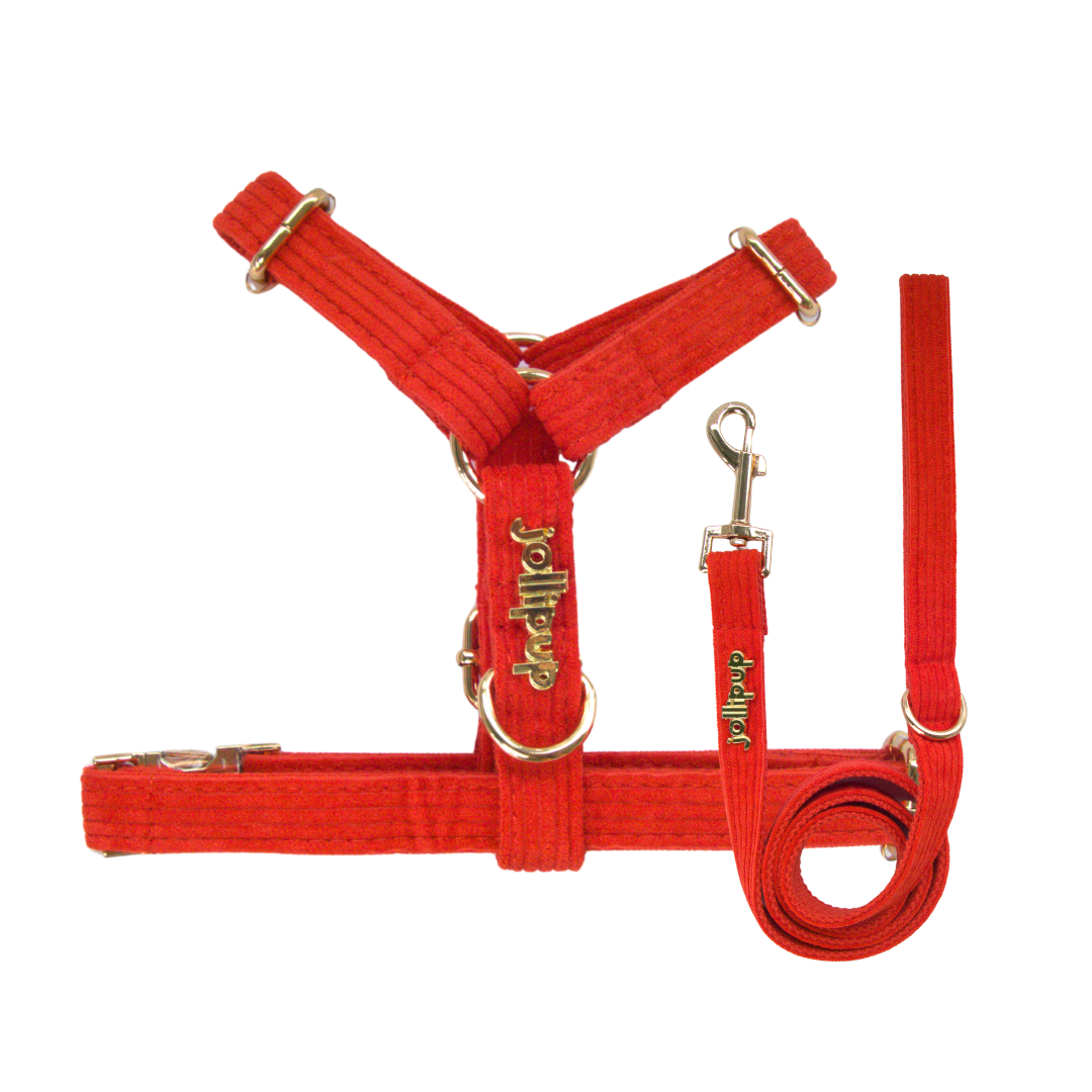 Corduroy (Red) Leash