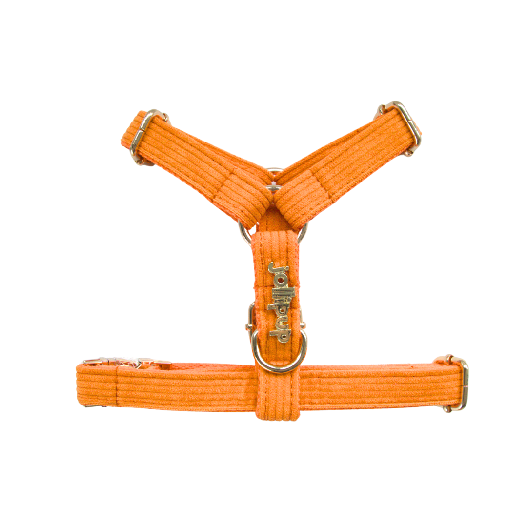 Corduroy (Orange) Harness