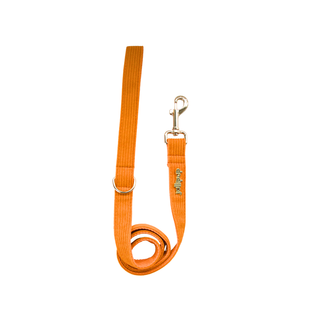 Corduroy (Orange) Leash