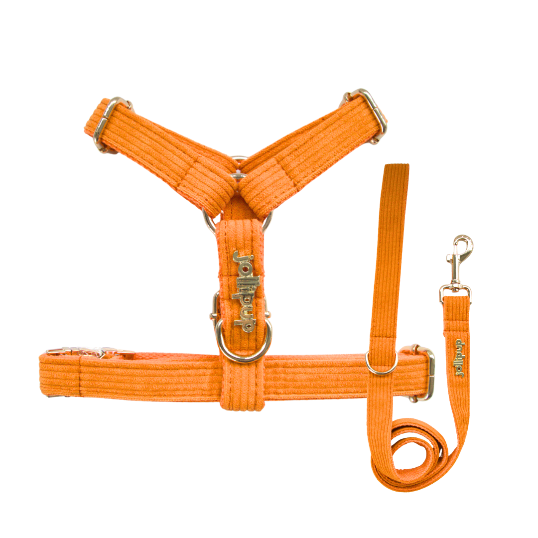 Corduroy (Orange) Leash