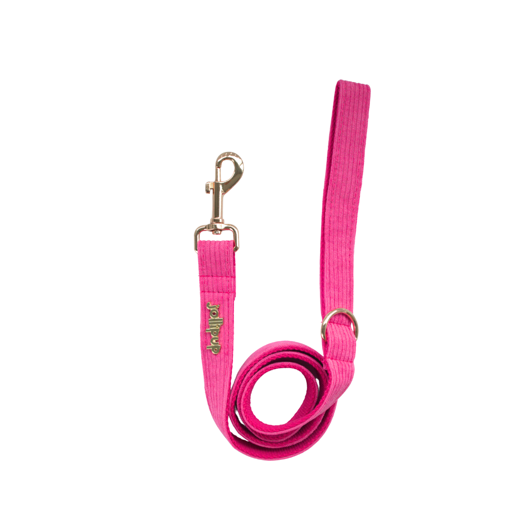 Corduroy (Pink) Leash