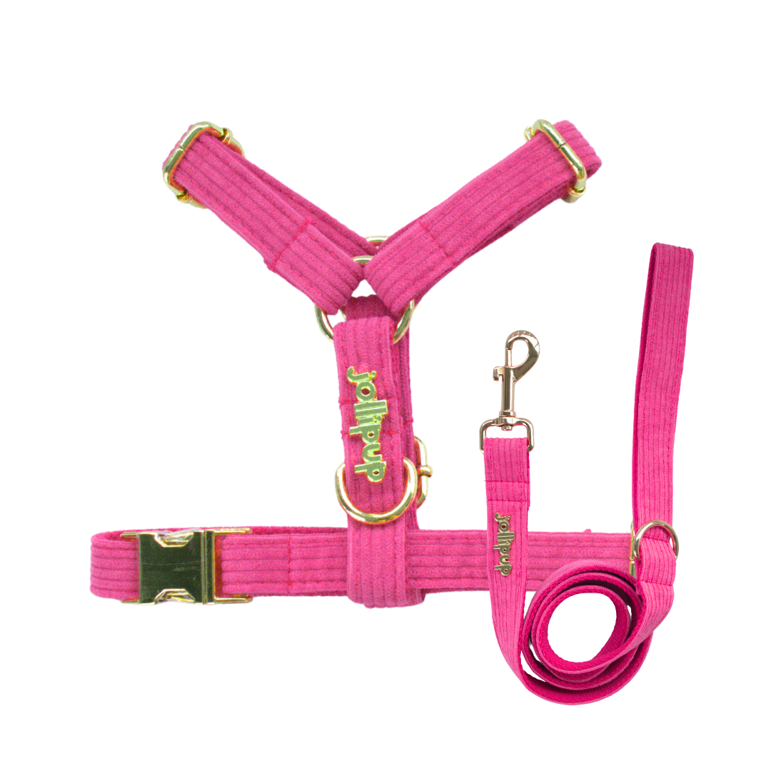 Corduroy (Pink) Leash