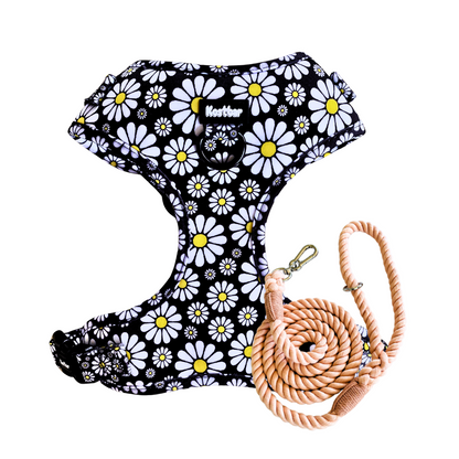 Cutesy Daisy Harness & Braided Rope Leash Bundle