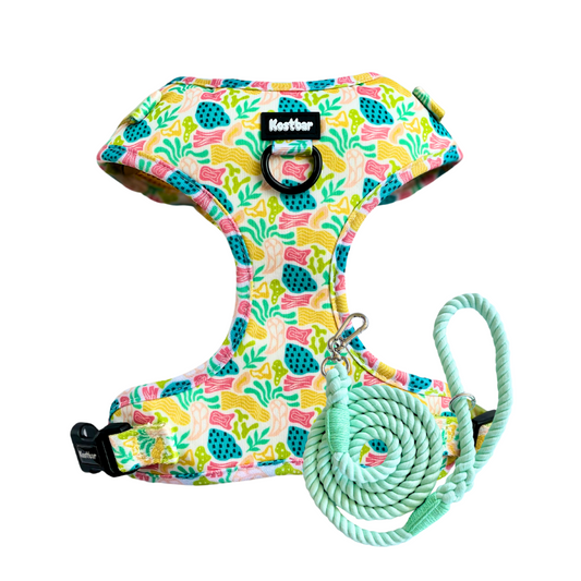 Bubble Gum Harness & Braided Rope Leash Bundle