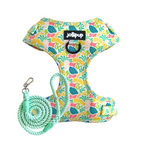 Oceana Harness & Braided Rope Leash Bundle
