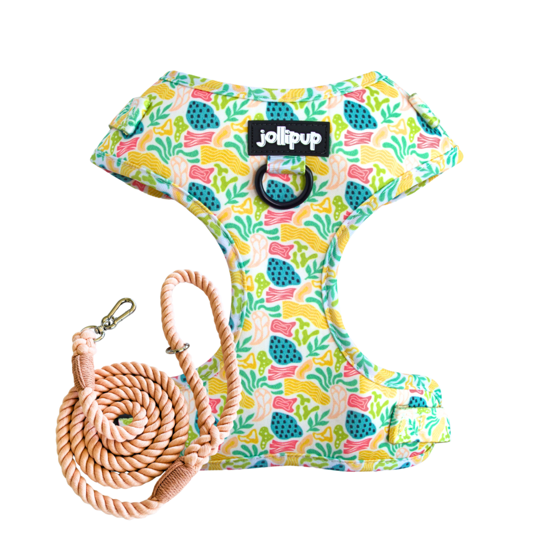Oceana Harness & Braided Rope Leash Bundle