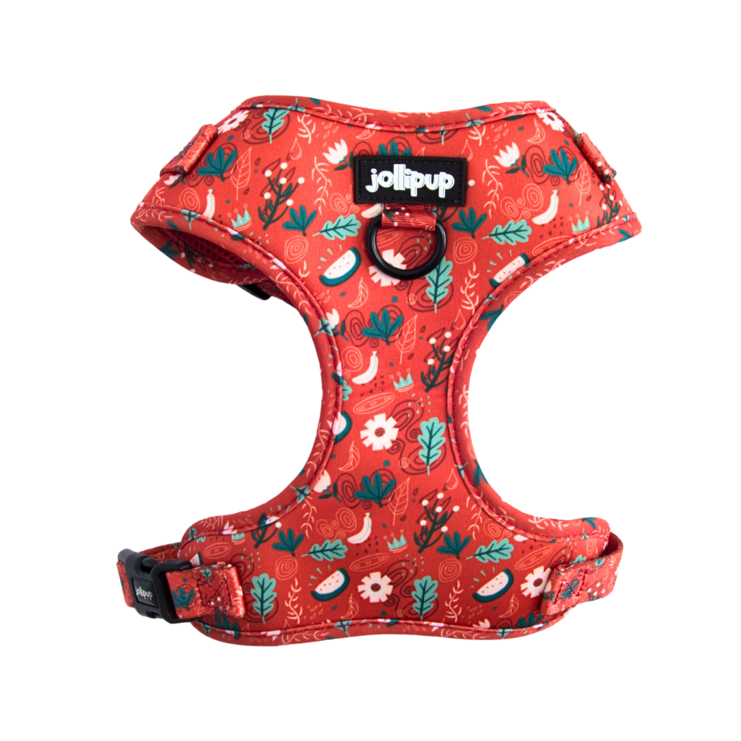 Harnais en tissu néoprène Red Charm