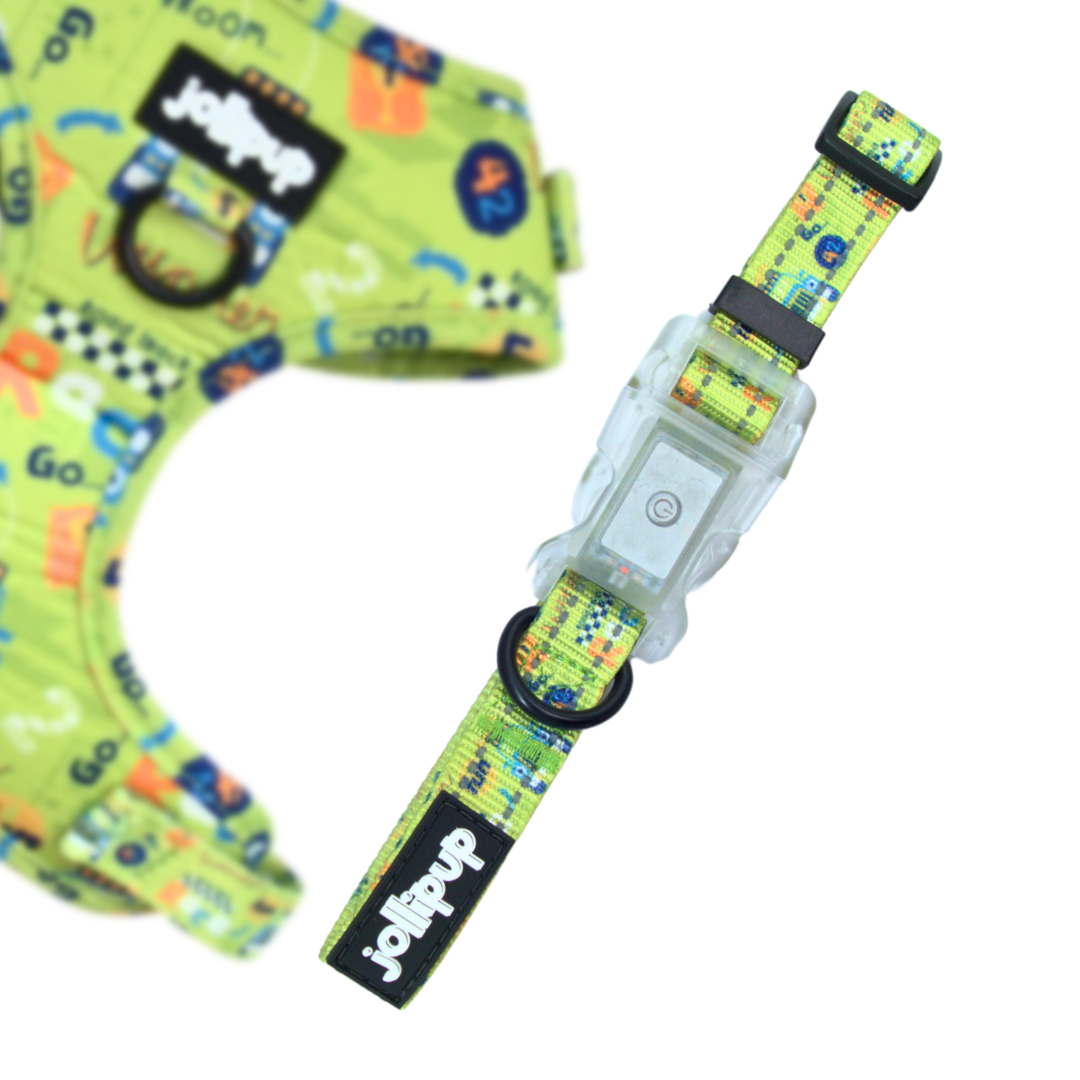 Laisse en polyester Speed ​​Racer