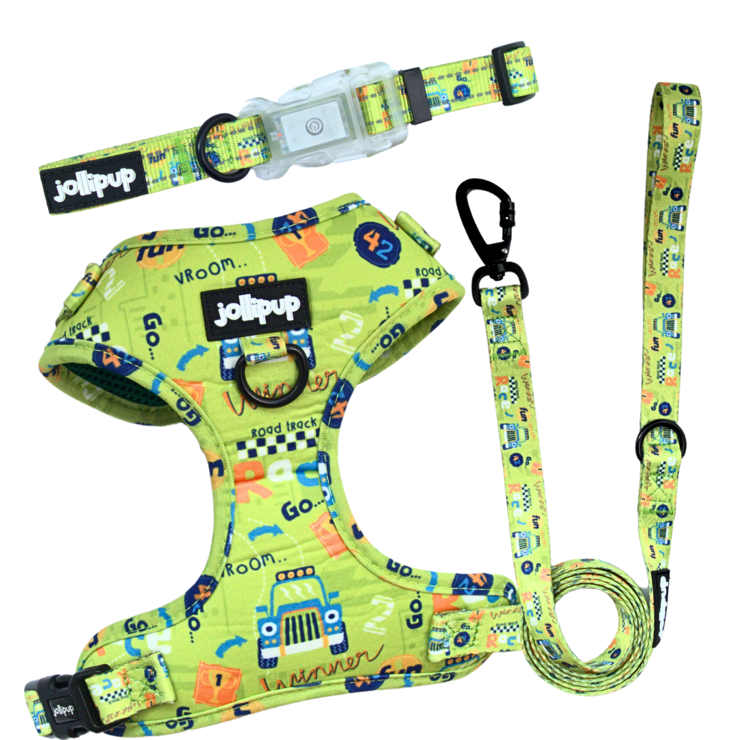 Conjunto de arnés y correa Speed ​​Racer