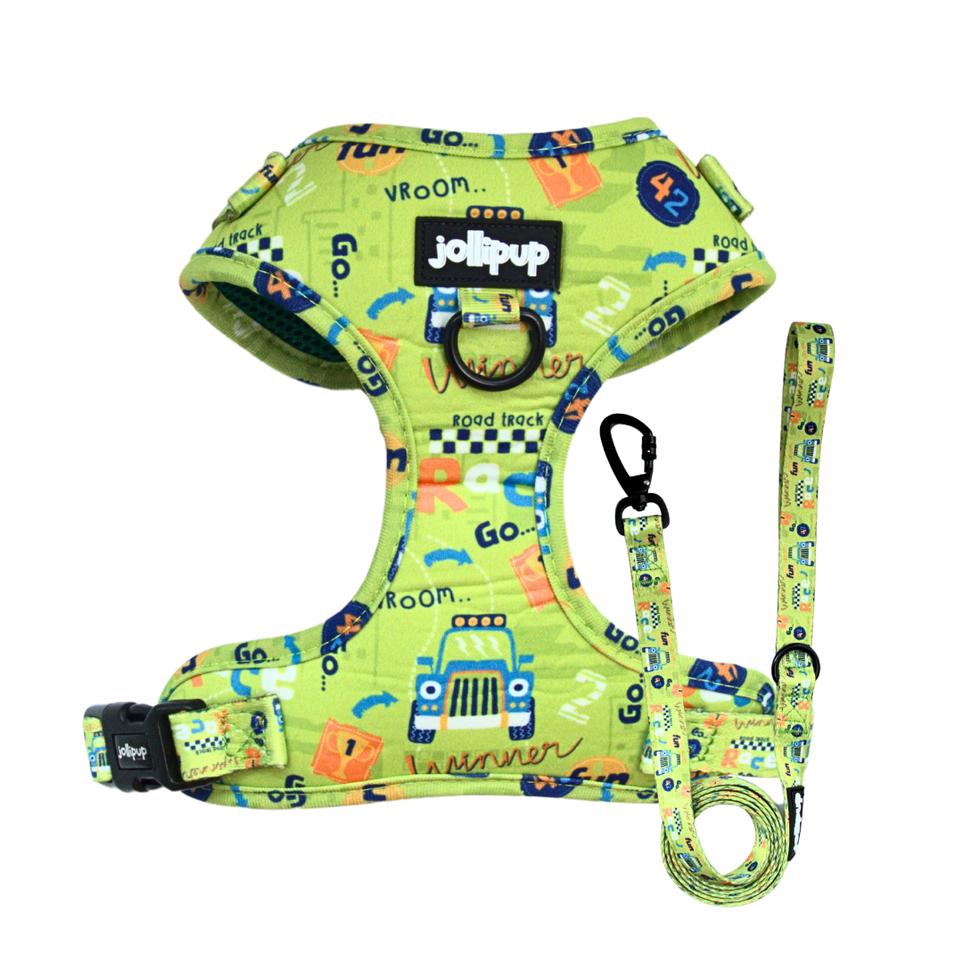 Conjunto de arnés y correa Speed ​​Racer