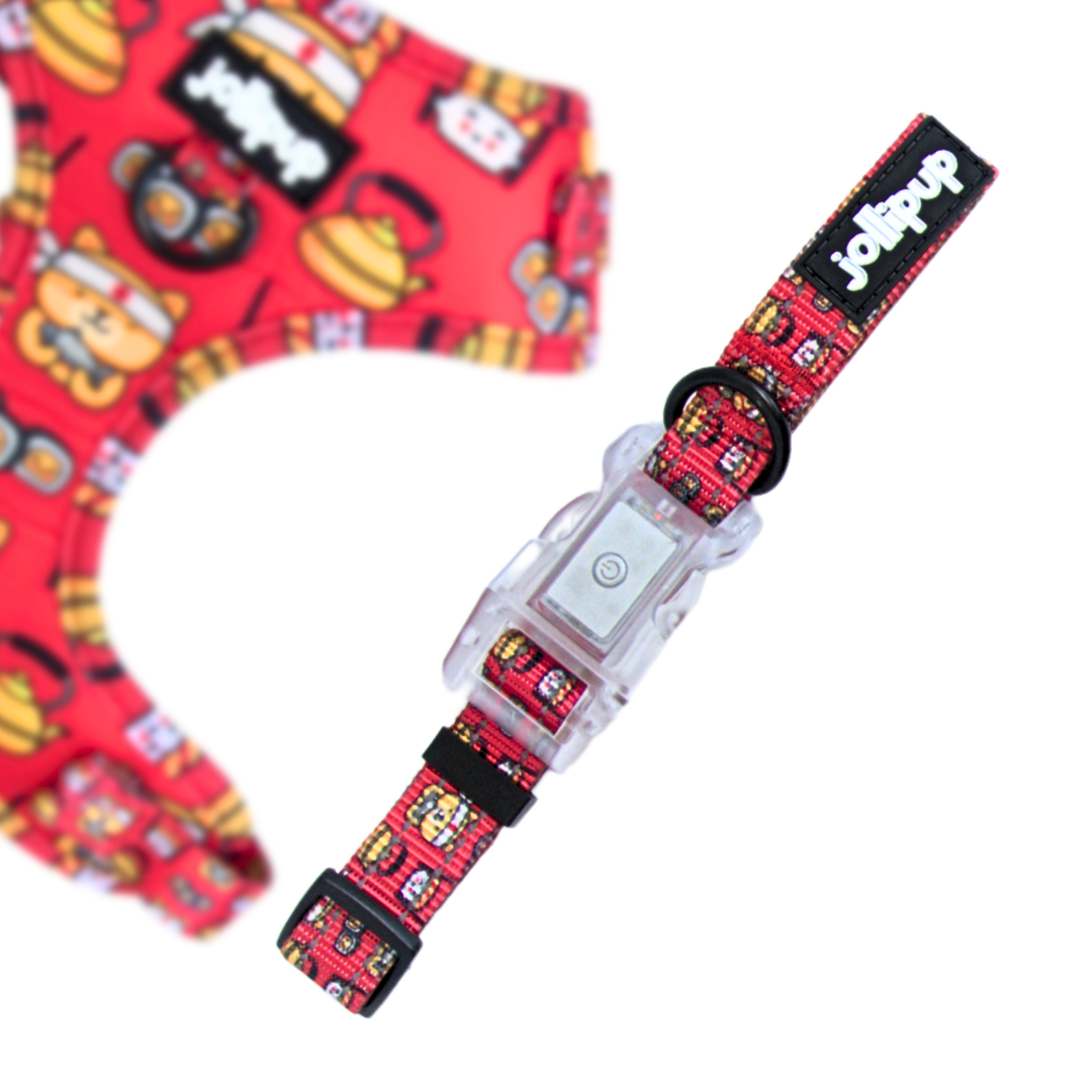 Laisse en polyester Speed ​​Racer