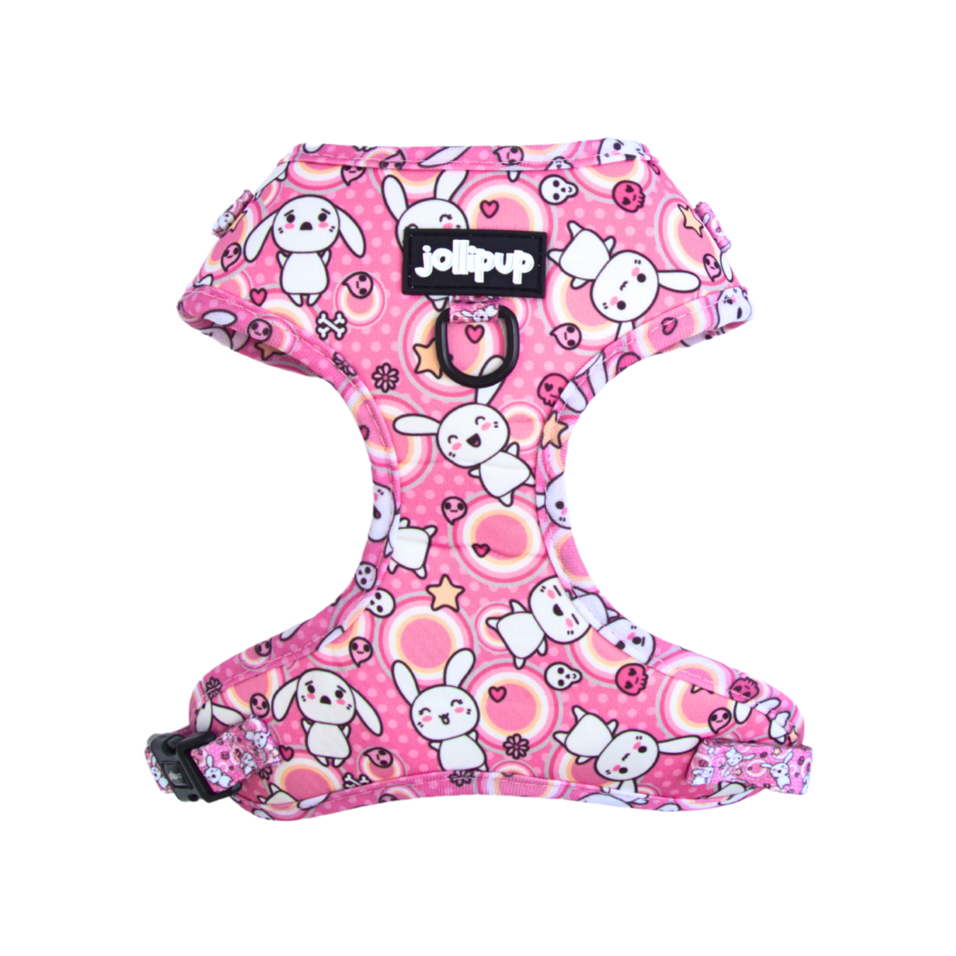 Conjunto de arnés y correa con dibujos de Kawaii Doodles