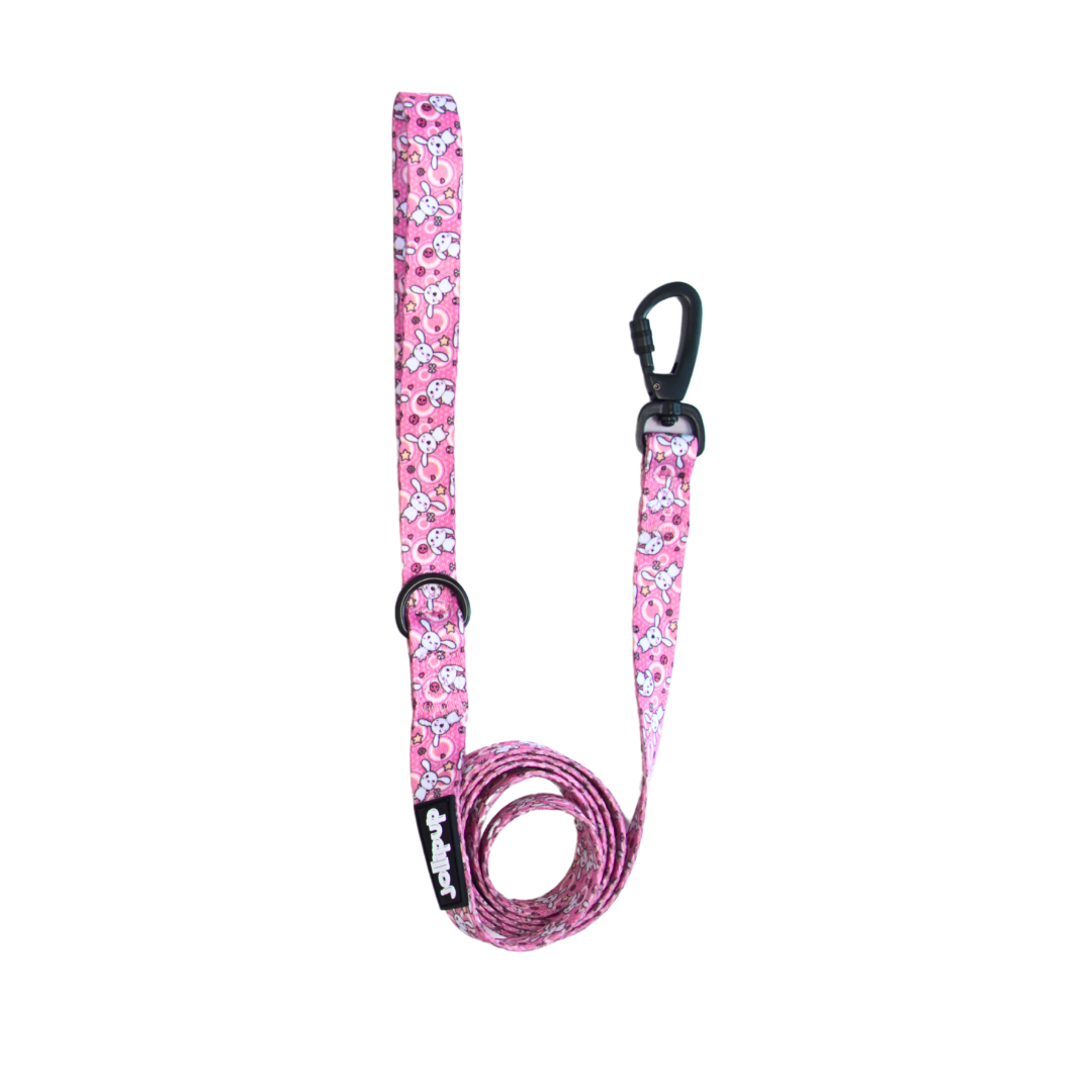 Laisse en polyester à motifs kawaii
