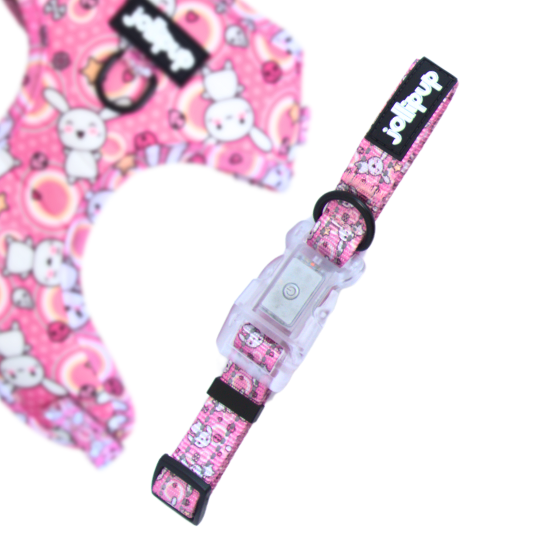 🎁 Kawaii Doodles Polyester LED Light Collar (100% off)