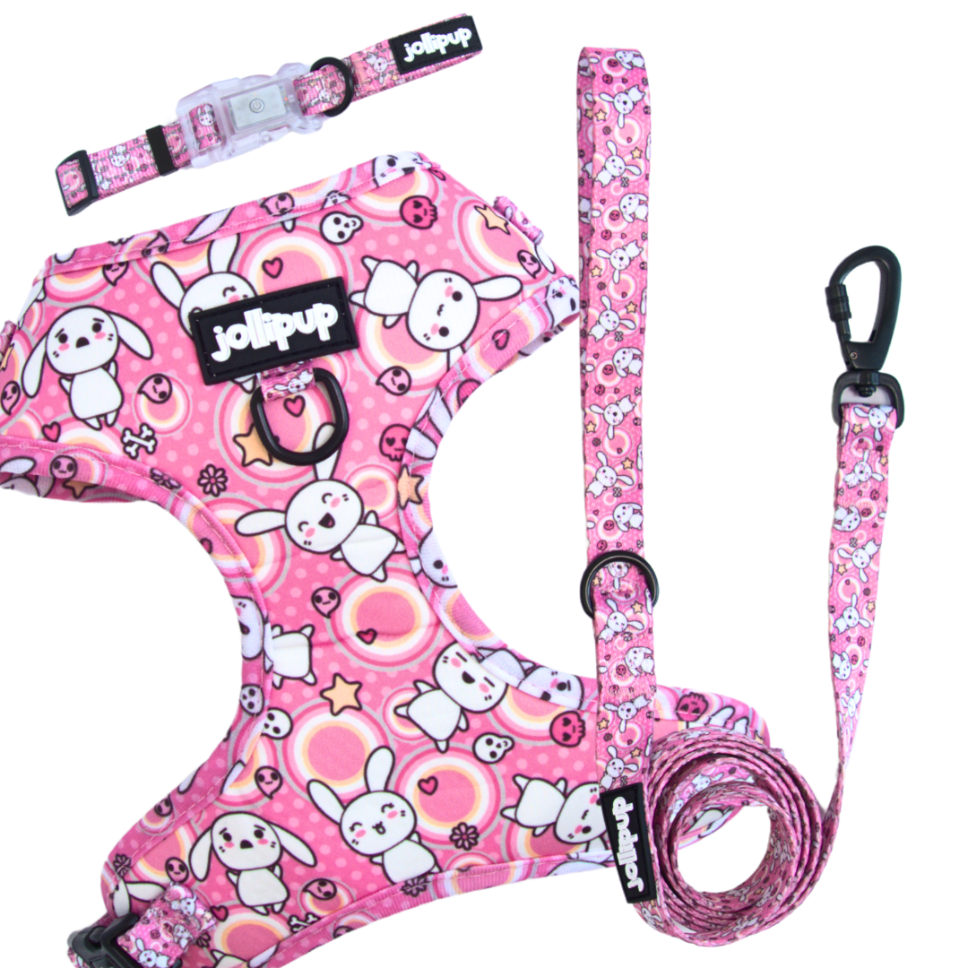 Conjunto de arnés y correa con dibujos de Kawaii Doodles